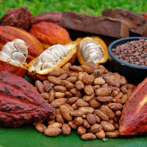 cacao profumo